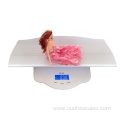 SF-188 electronic household baby scale infant